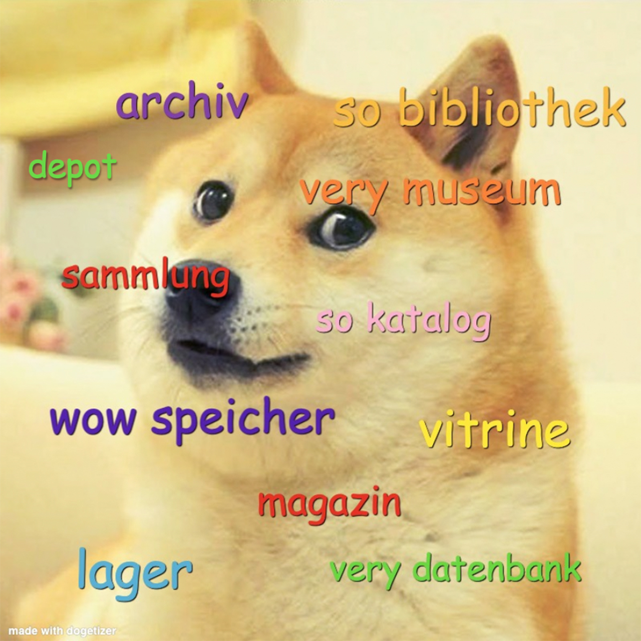 Shiba Inu (Doge Meme) denkt über gängige Bezeichnungen nach